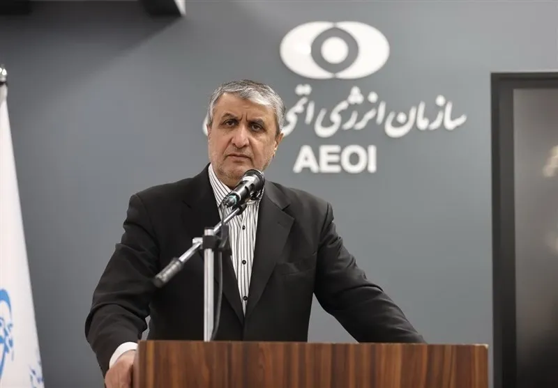 Iran's Nuclear Facilities 'In Good Condition,' Says Atomic Energy Chief