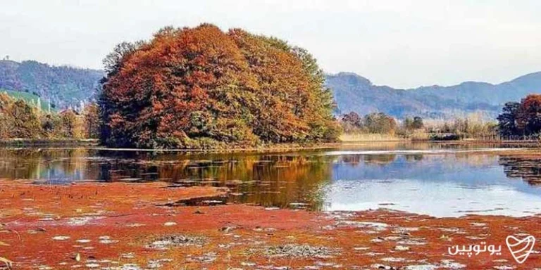 تالاب سوستان