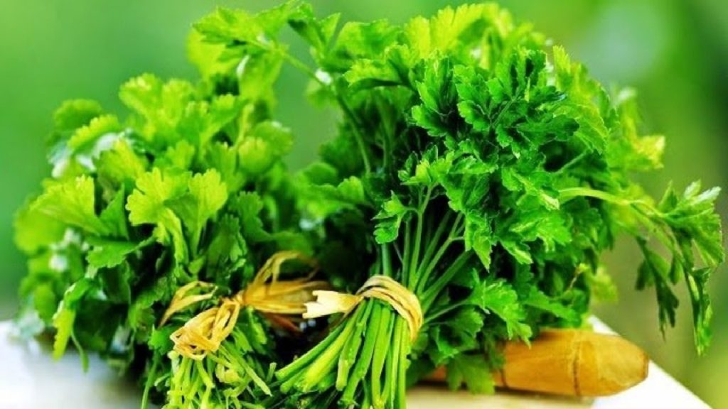 آیا مصرف سبزیجات سبب ایجاد زخم معده میشود؟