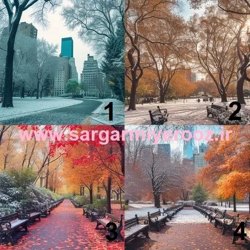 Pick an Image to Discover Your True Loyalty Level!