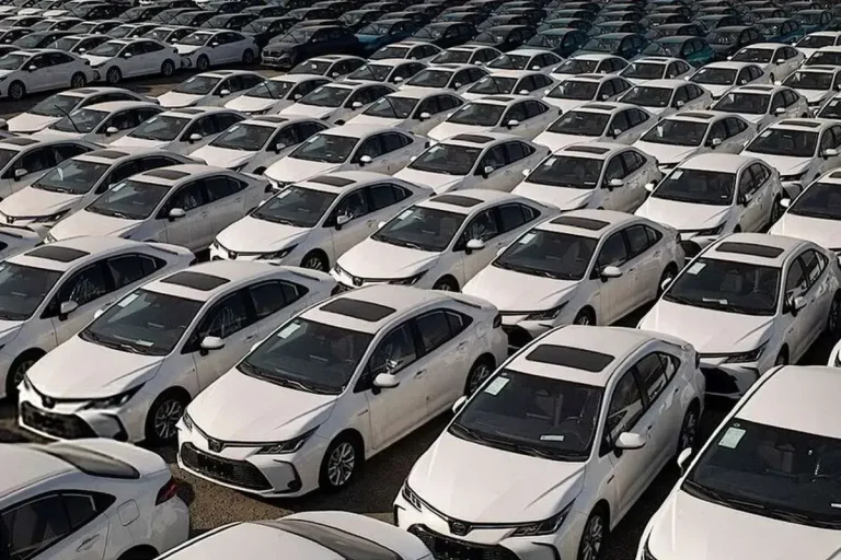 Thousands of New Imports: 4,000 Cars Ready by Year-End!
