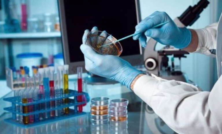 Iranian Breakthrough: A New Path to End Malaria