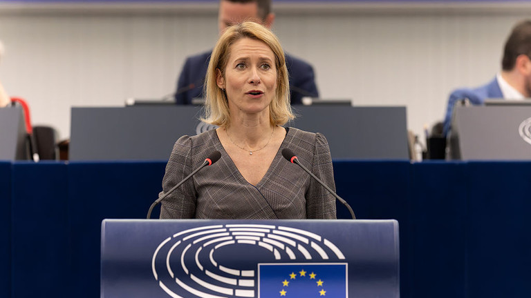 EU Representative's Push to Restrain Russia's Military Power
