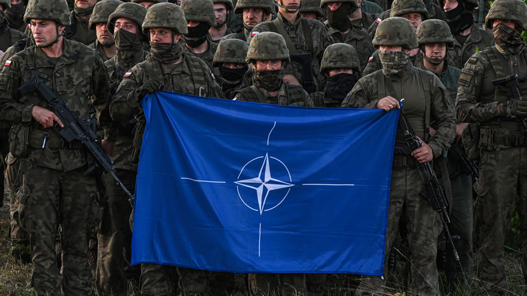 Politico Reveals: NATO Member Blocks Article 5-Style Guarantees for Ukraine