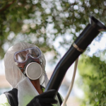 Climate Crisis and Invading Mosquitoes Fuel Europe's Chikungunya Surge