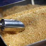 جی پی مورگان: قیمت طلا تا پایان سال به ۶۳۰۰ دلار در هر اونس می‌رسد | خبرگزاری بین‌المللی شفقنا | خبرگزاری شیعیان، فتاوای آیت‌الله سیستانی و مرجعیت، آخرین اخبار ایران و جهان