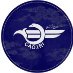 Iran's Civil Aviation Stands Firm: Protecting Global Air Travel from Attacks