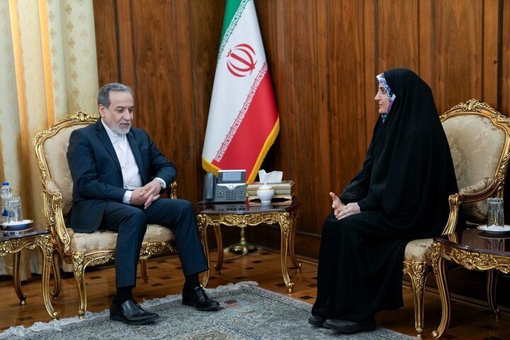 Voice of Iran's Support: Envoy Pledges Solidarity and Strength for Diplomatic Path