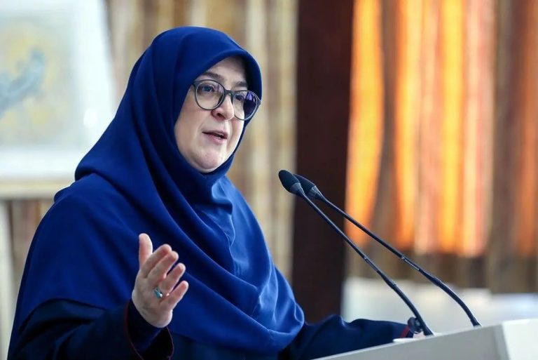 Government Spokesperson: "Pro Internet" Created for Businesses Amidst Crisis; Normalization Will Bring Change