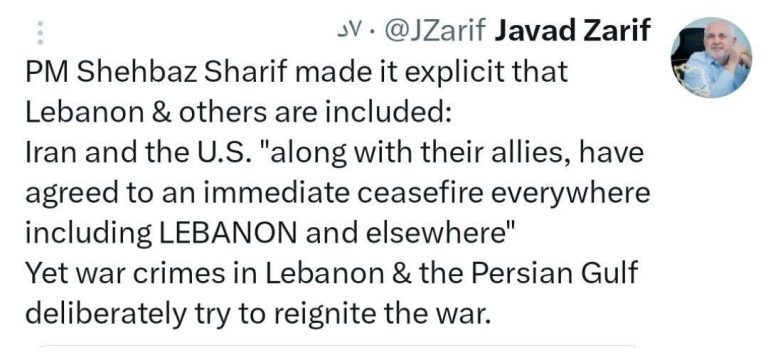 Zarif Recalls Shehbaz Sharif's Statement on Lebanon and Allies