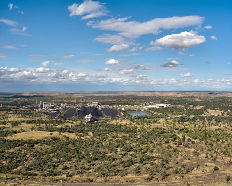 AI's Environmental Permits: Experts Warn of Devastating Impact on Endangered Species